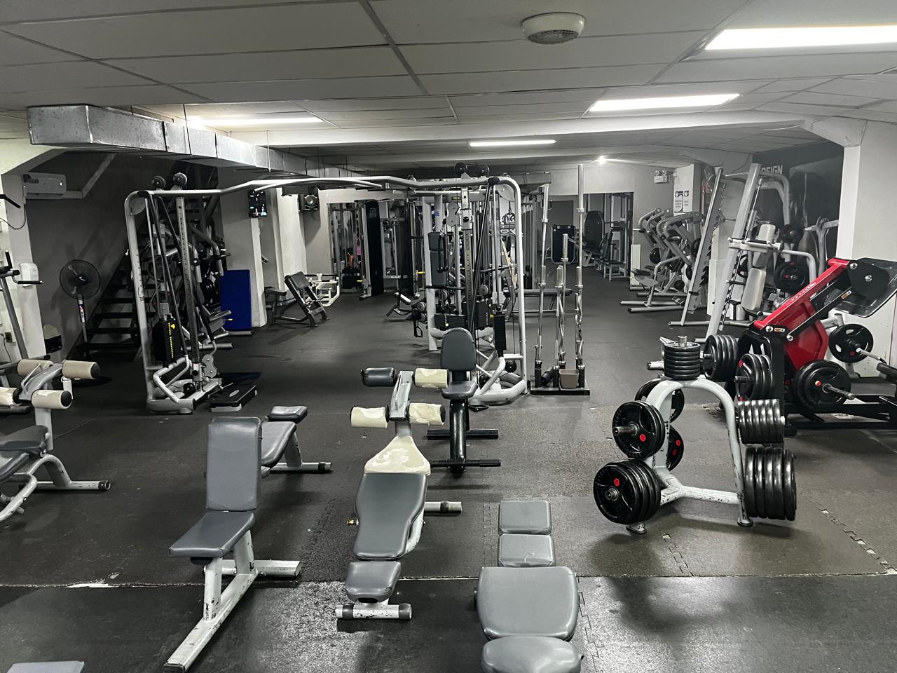 Equipamiento de musculación de Top Line